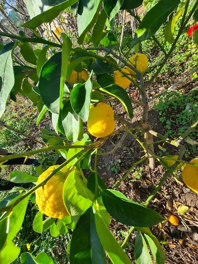 Azienda Agrituristica La Janna Di La Faj Budoni 0*,  Italië