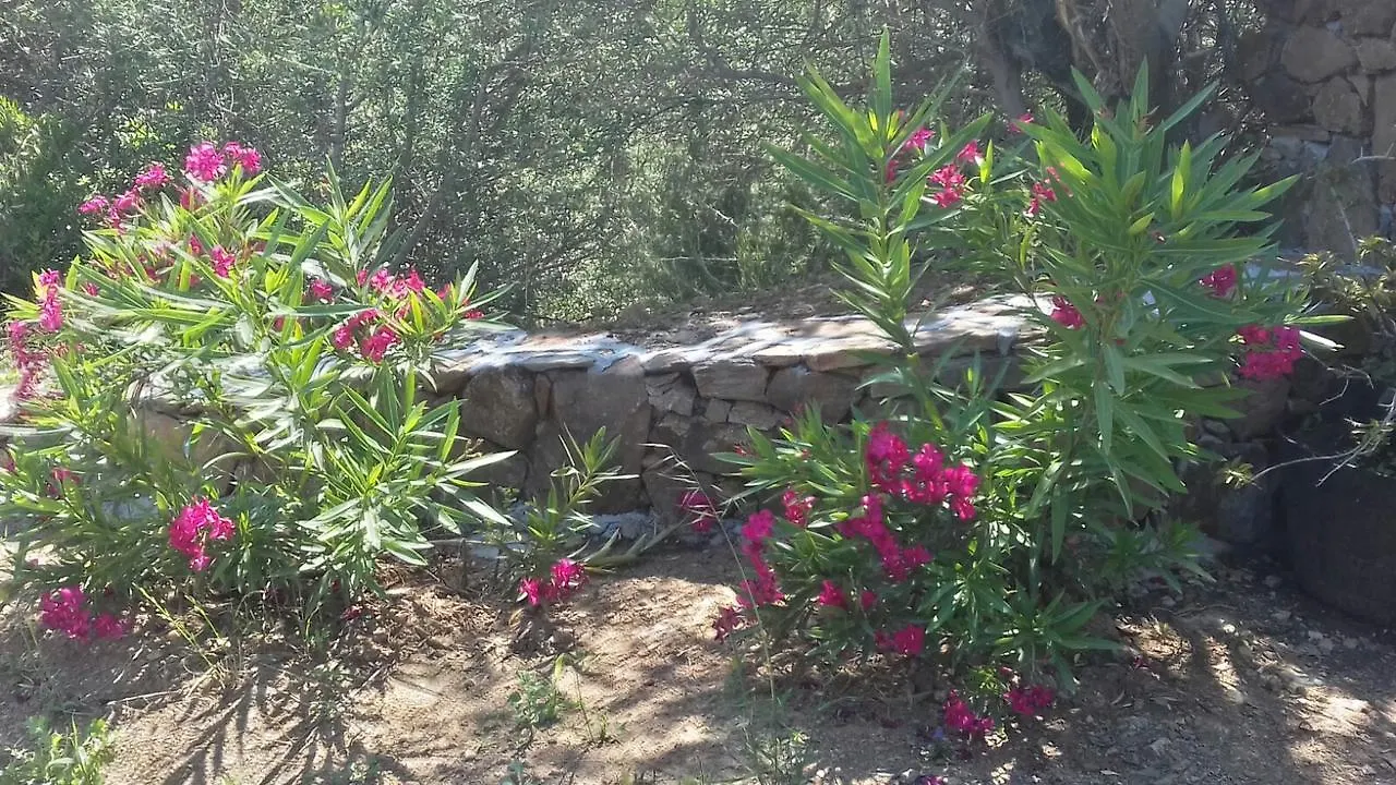 Farm stay Azienda Agrituristica La Janna Di La Faj Budoni